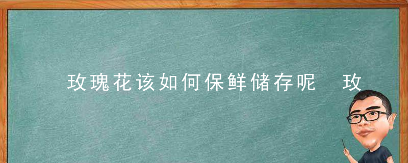 玫瑰花该如何保鲜储存呢 玫瑰花该怎么保鲜储存呢